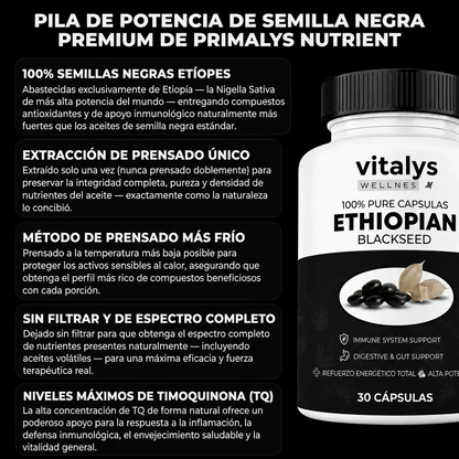 Semilla Negra Etíope — La fórmula natural con 4,64% de timoquinona para tu equilibrio interno.